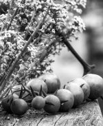 Sep 07-23 (1 of 1)-17.JPG Sep 07-23 (1 of 1)-17.JPG