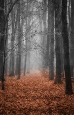 Ashridge Hand Tint.JPG Ashridge Hand Tint.JPG