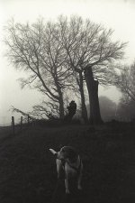 IMG_8703.jpeg IMG_8703.jpeg