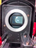 IMG_1053_adobe_express 2.jpeg