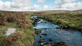 006 River Plym 01-7134 PS Adj.JPG