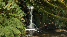 018 Shavercombe Falls 02-7160 PS Adj.JPG