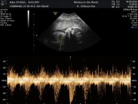 WhatsApp Image 2023-09-16 at 15.38.44.jpeg