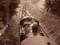 P9166116-1k.jpg P9166116-1k.jpg