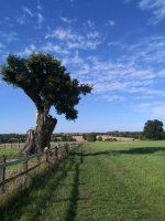 IMG_20200820_164100.jpg IMG_20200820_164100.jpg