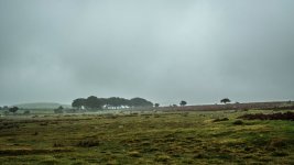 002 Prewley Moor 01-7185 PS Adj.JPG