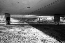 Superfluous Swan.JPG Superfluous Swan.JPG