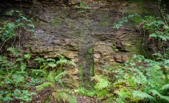 September - Ancient.jpg September - Ancient.jpg