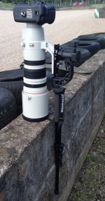 IMG_0953.jpg IMG_0953.jpg