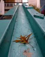 Sep 27-23 (6 of 7).JPG