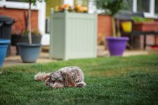 Holidays 2023-23.jpg