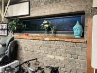 IMG_1247.jpg IMG_1247.jpg