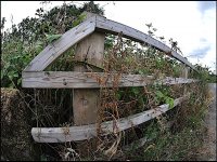 Clyst St Mary Bridge 7.5mm GM5 P1240198.jpeg