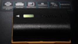 aaa Rotated 2Y3A2391.JPG