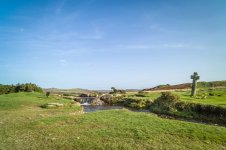 012 Windy Post 01-1000699 PS Adj.JPG