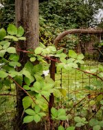 Oct 03-23 (1 of 1)-18.JPG