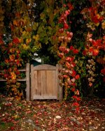 Oct 03-23 (1 of 1)-17.JPG