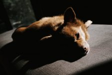 Yuffie Sleeping GR (1 of 1) - R0000289.jpg