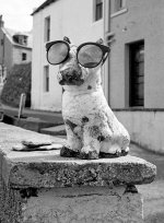 2021-06-20-0031-copy-tp.jpg 2021-06-20-0031-copy-tp.jpg