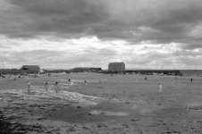 2108BPMXBW30 Beach cricket.jpg 2108BPMXBW30 Beach cricket.jpg