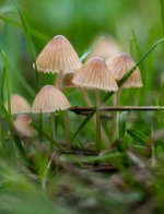 Oct 14-23 (12 of 17).JPG