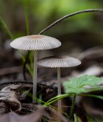 Oct 14-23 (9 of 17).JPG