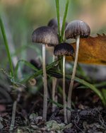 Oct 07-23 (2 of 2).JPG