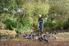 DSC03488.JPG DSC03488.JPG