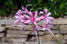 DSC03509.JPG DSC03509.JPG