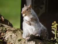 1-P1003439.jpg 1-P1003439.jpg