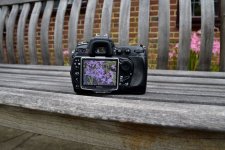 _DSC7525.JPG _DSC7525.JPG