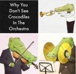 orchestra.jpg