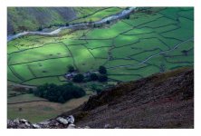 field-walls.jpg field-walls.jpg