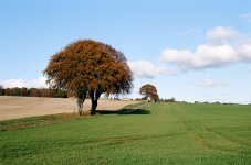 000046150029-copy.jpg-tp.jpg 000046150029-copy.jpg-tp.jpg