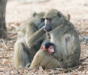 20231008-075351-OA087139_1-1.jpg 20231008-075351-OA087139_1-1.jpg