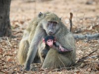 20231008-075359-OA087143.jpg 20231008-075359-OA087143.jpg