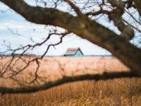 1000006826.jpg 1000006826.jpg