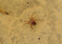 A.25.10.23.1 (1).jpg