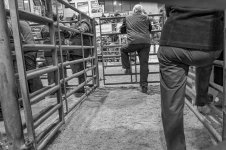 oldfair (72 of 91).jpg