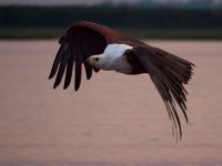 20231007-061410-OA074776-c1.jpg 20231007-061410-OA074776-c1.jpg