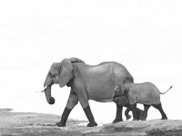 20231008-071949-OA087022-c1.jpg 20231008-071949-OA087022-c1.jpg