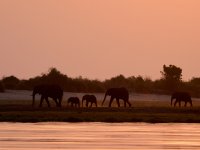 20231008-175110-BA081958-c1 1.jpg 20231008-175110-BA081958-c1 1.jpg