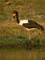 20231006-063047-OA067995-c1A.jpg 20231006-063047-OA067995-c1A.jpg