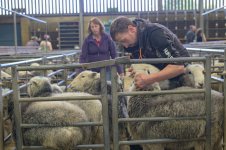 oldfair (60 of 75).jpg oldfair (60 of 75).jpg