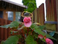 sample.JPG sample.JPG