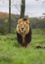 1698776427888.jpeg 1698776427888.jpeg