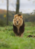 1698776427888-DoFedit.jpg 1698776427888-DoFedit.jpg