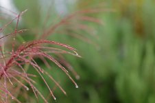 L1012167_DxO-l902-28.jpg L1012167_DxO-l902-28.jpg