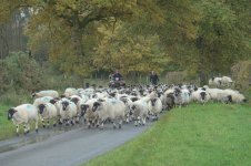 _7821158.jpg _7821158.jpg