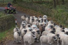 _7821164.jpg _7821164.jpg